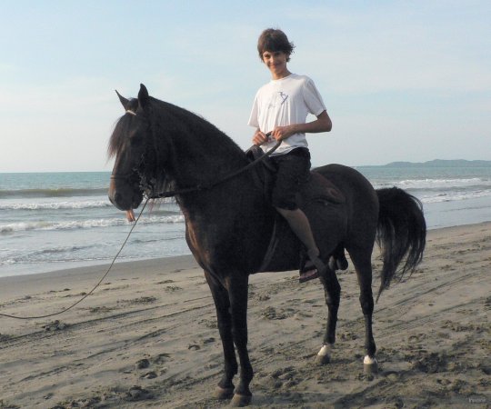 55- Romain, el caballero 